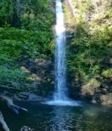 Maison De Charme Orezza Haute-corse Castagniccia *